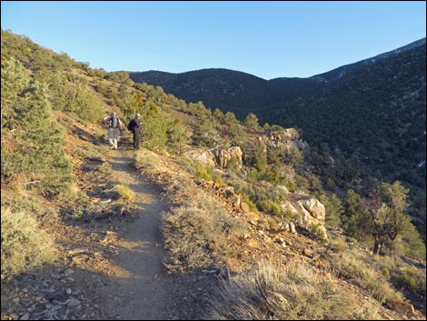 Wildrose Peak