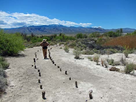 Birdsong Trail