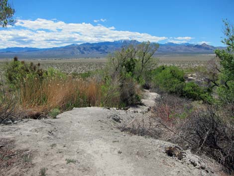 Birdsong Trail