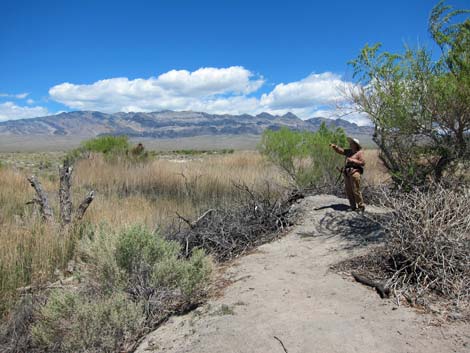 Birdsong Trail