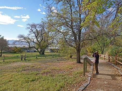 Corn Creek Birding