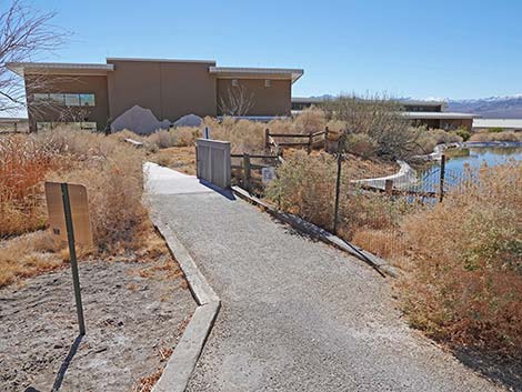 Jackrabbit Loop Trail