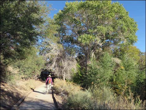 Corn Creek Visitor Center