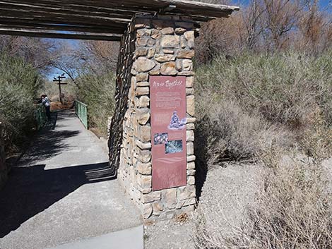 Jackrabbit Loop Trail