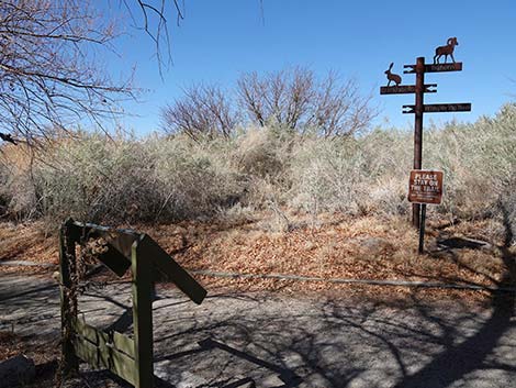 Jackrabbit Loop Trail