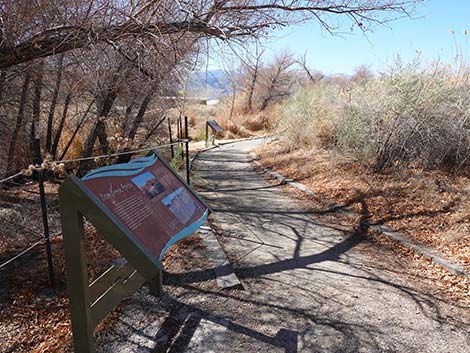 Jackrabbit Loop Trail