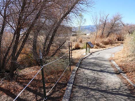 Jackrabbit Loop Trail