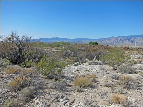 Corn Creek ADA Loop Trail