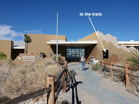 Jackrabbit Loop Trail