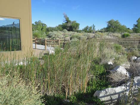 Corn Creek Visitor Center