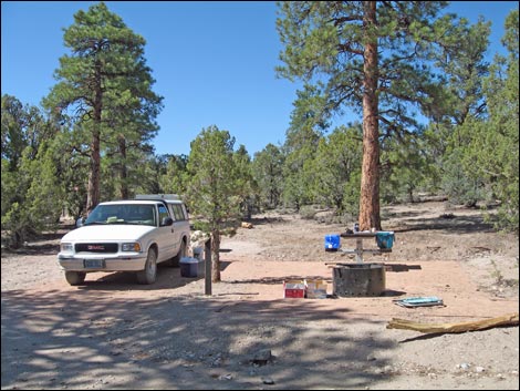 Desert National Wildlife Range