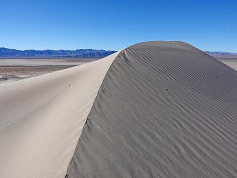 Desert Dry Lake Dunes