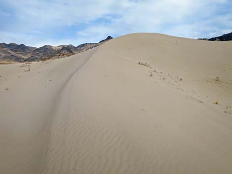 Desert Dry Lake Dunes