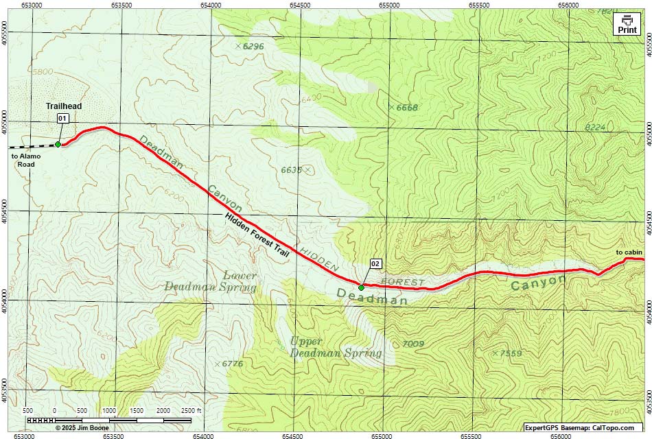 Hidden Forest Route Map Trailhead Section