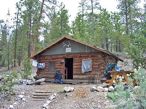 Hidden Forest Cabin