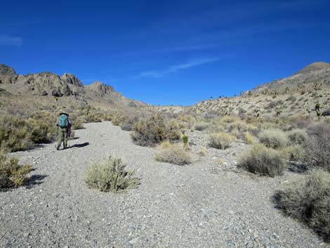 Joe May Canyon Guzzler