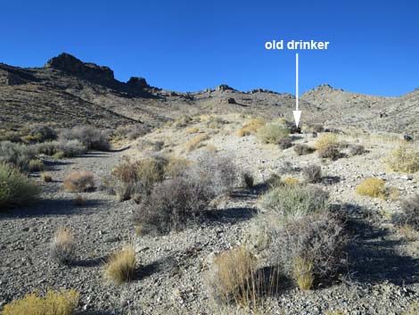 Joe May Canyon Guzzler