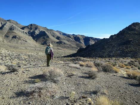 Joe May Canyon Guzzler