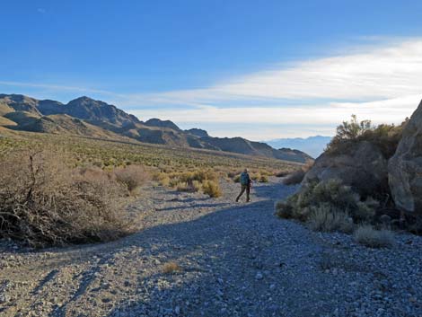 Joe May Canyon Guzzler