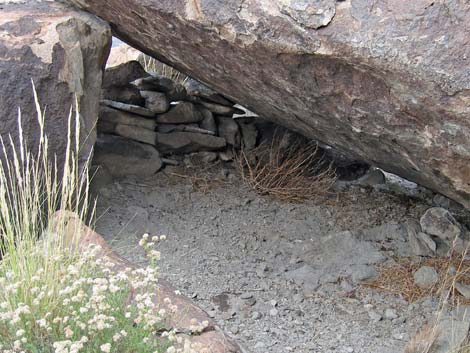 Petroglyphs