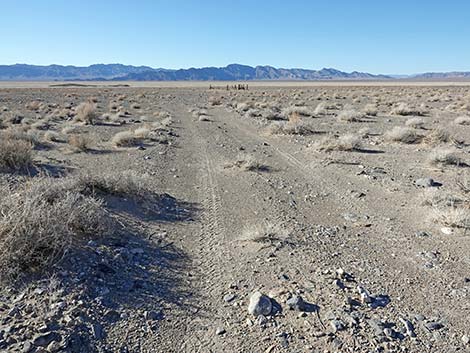 Desert Dry Lake Corral