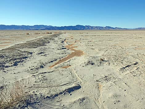 Desert Dry Lake Corral