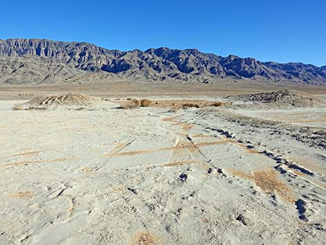 Desert Dry Lake Corral