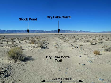 Desert Dry Lake Corral