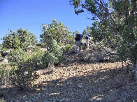 Quartzite Mountain