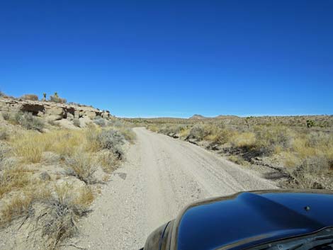 Alamo-Badger Connector Road