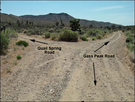 Gass Peak Road