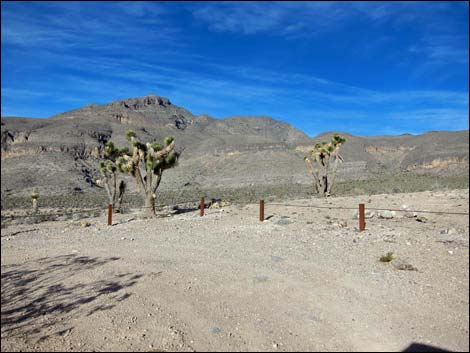 Mormon Well Road