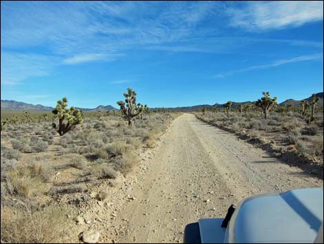 Mormon Well Road