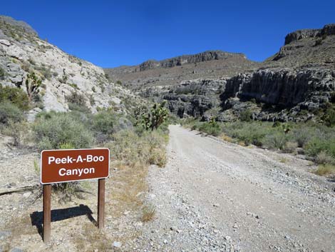 Mormon Well Road