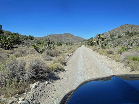 Mormon Well Road