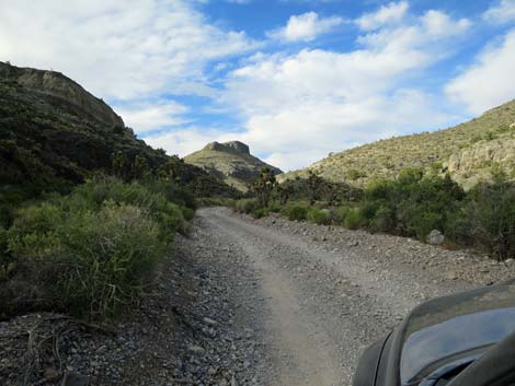 Mormon Well Road