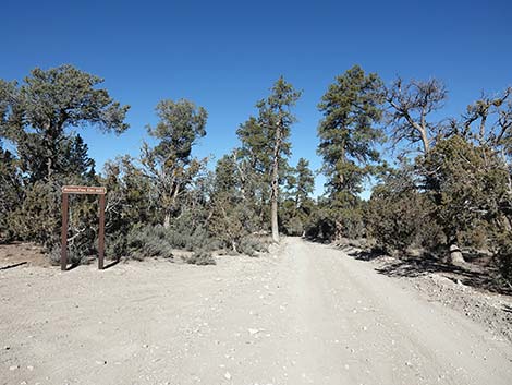 Mormon Well Road