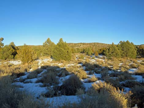 Mormon Well Road