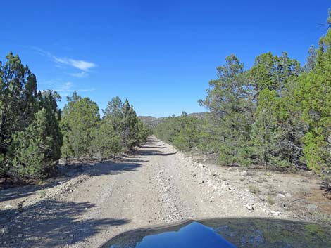 Mormon Well Road