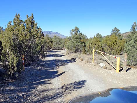 Mormon Well Road