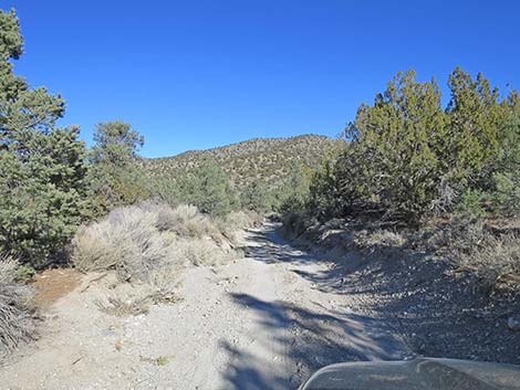 Mormon Well Road