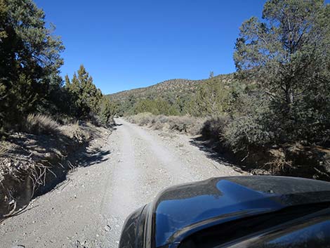 Mormon Well Road