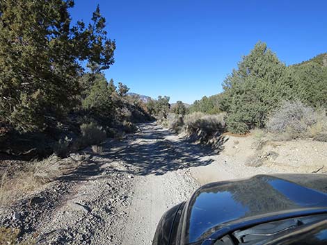 Mormon Well Road