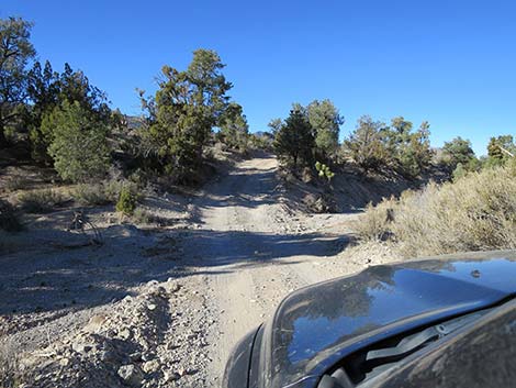 Mormon Well Road