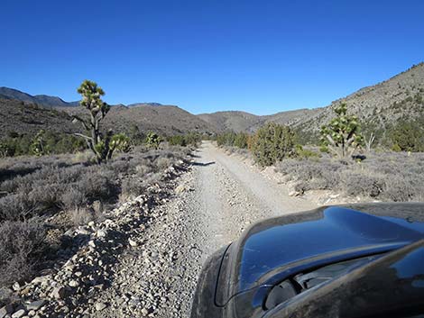 Mormon Well Road