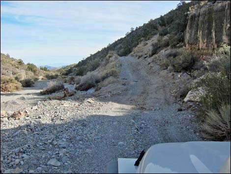 Mormon Well Road