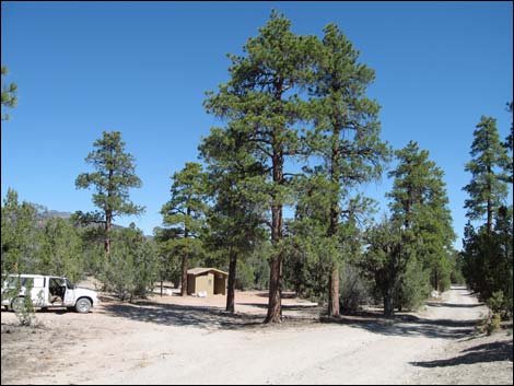 Mormon Well Road