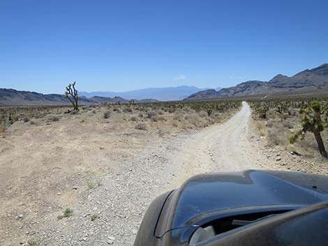 Mormon Well Road