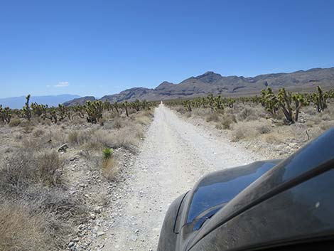 Mormon Well Road