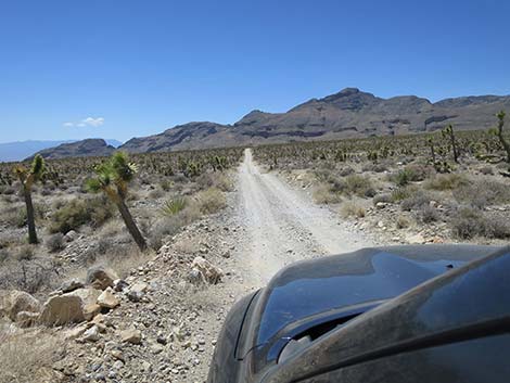 Mormon Well Road